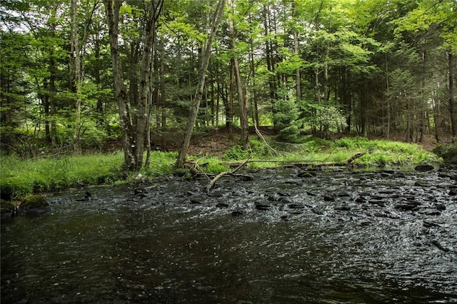 LOT1 Chapin Trl, White Lake, NY 12786