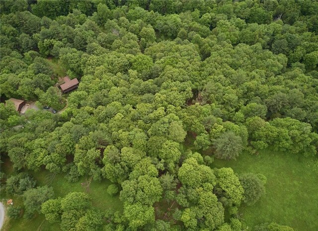 LOT1 Chapin Trl, White Lake, NY 12786
