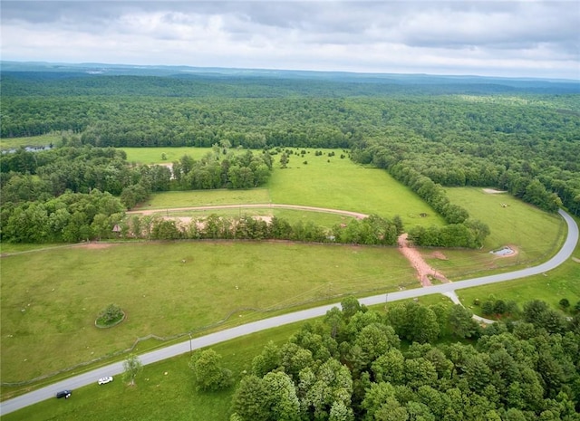 LOT1 Chapin Trl, White Lake, NY 12786