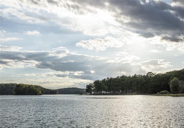 LOT1 Chapin Trl, White Lake, NY 12786