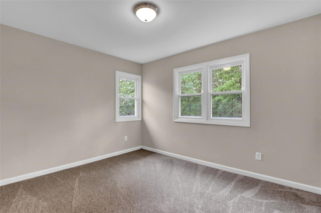 31 Teller Ave, Coram, NY 11727 - photo 16