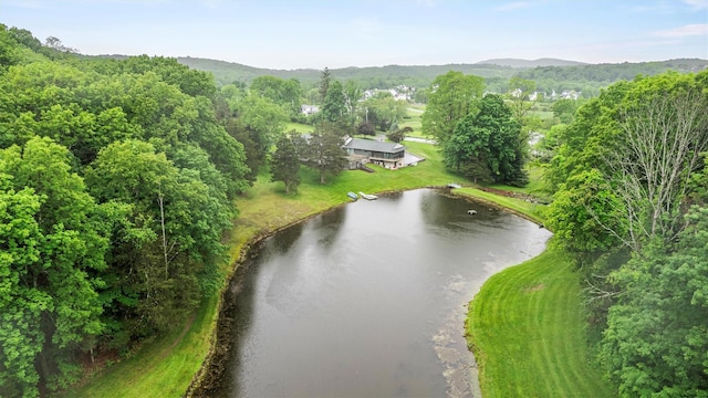 736 State Route 94 N, Warwick, NY 10990 - bird's eye view of a nearby body of water