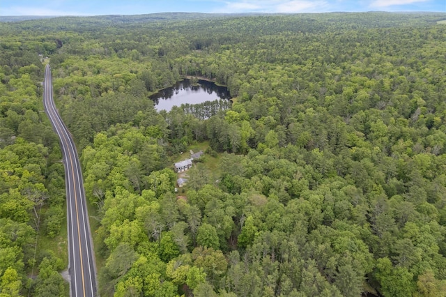 11 Waldweg Dr, Sparrowbush, NY 12780 - aerial overview of property's location featuring a forest and a large body of water