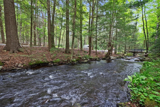 11 Waldweg Dr, Sparrowbush, NY 12780 - view of undeveloped land
