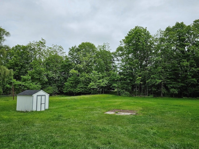 3 Fall St, Port Jervis, NY 12771 - view of green lawn