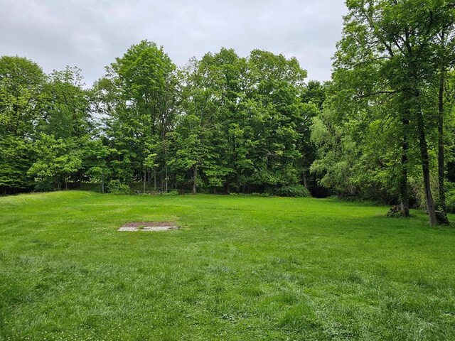 3 Fall St, Port Jervis, NY 12771 - view of grassy yard with a forest view