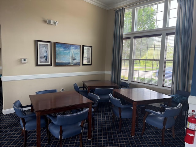 55 Hamptons Court Dr E Unit 55, Eastport, NY 11941 - dining area with carpet floors, ornamental molding, and baseboards
