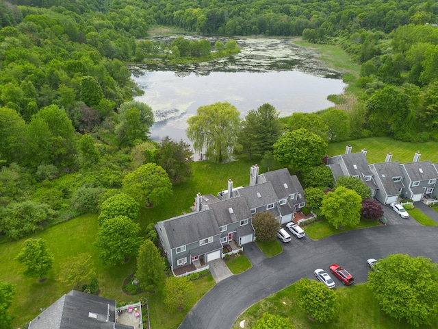 19 Cushing Grn S, Pawling, NY 12564 - aerial view of residential area with a heavily wooded area and a large body of water