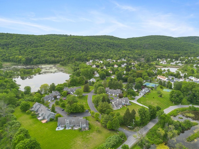 19 Cushing Grn S, Pawling, NY 12564 - drone / aerial view of a forest and a large body of water