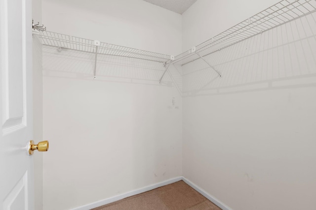 19 Cushing Grn S, Pawling, NY 12564 - spacious closet with carpet