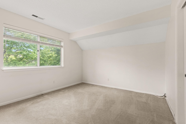 19 Cushing Grn S, Pawling, NY 12564 - bonus room with carpet floors, vaulted ceiling, and baseboards