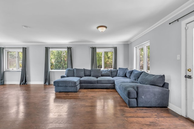 167 Grandview Ave, Nanuet, NY 10954 - living room with plenty of natural light, ornamental molding, and wood finished floors