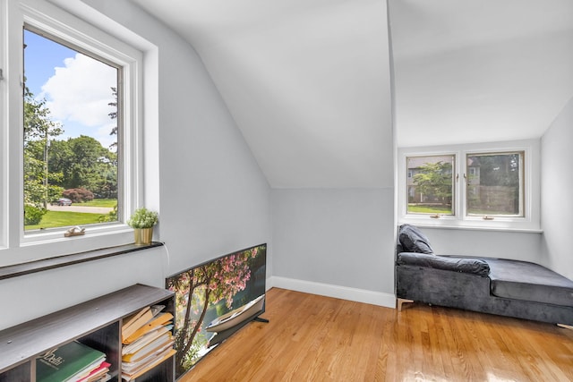 167 Grandview Ave, Nanuet, NY 10954 - living area with lofted ceiling, plenty of natural light, and wood finished floors