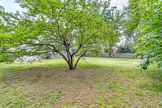 167 Grandview Ave, Nanuet, NY 10954 - view of yard