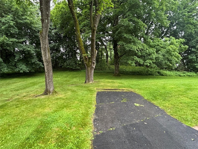 15 Orchard Rd, Poughkeepsie, NY 12603 - view of green lawn