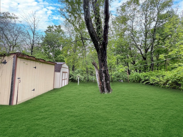 94 Highland Ave, Woodridge, NY 12789 - view of green lawn