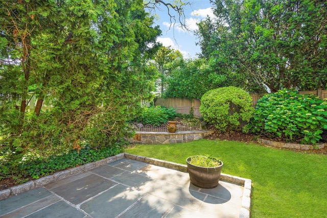 4 Senate Pl, Larchmont, NY 10538 - fenced backyard with a patio