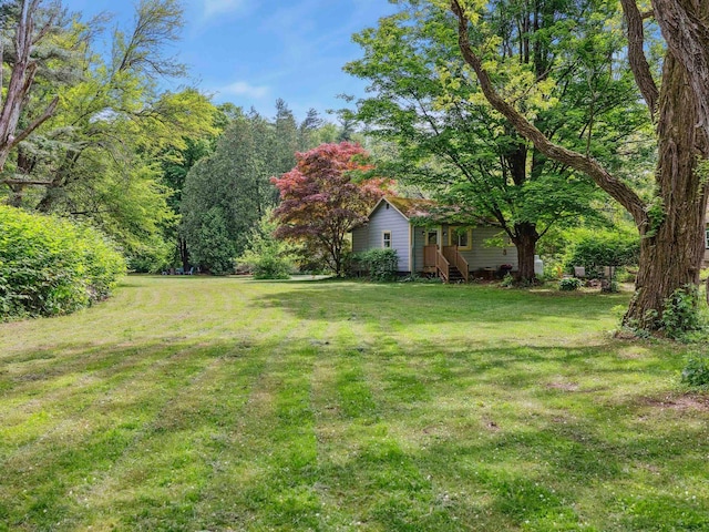 5221-5223 Rte 28, Mount Tremper, NY 12457 - view of grassy yard