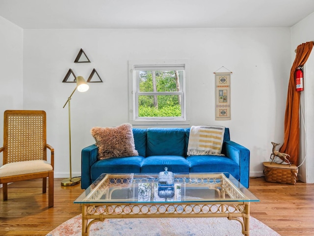5221-5223 Rte 28, Mount Tremper, NY 12457 - living area with wood finished floors and baseboards