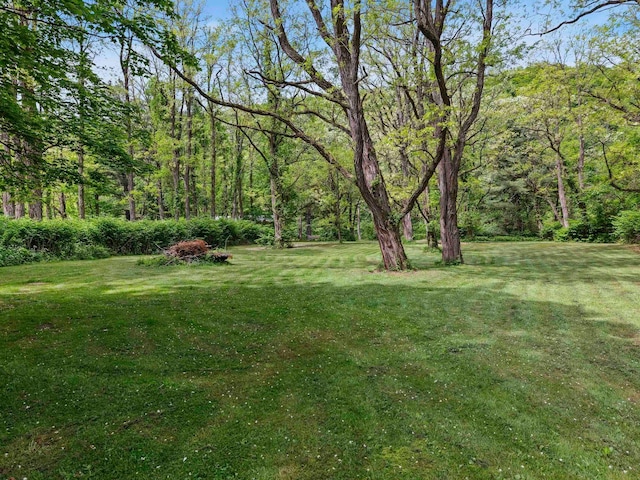 5221-5223 Rte 28, Mount Tremper, NY 12457 - view of green lawn with a forest view