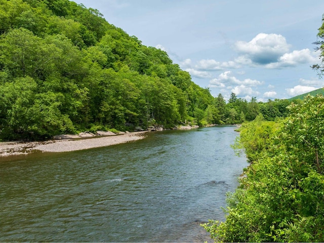 5221-5223 Rte 28, Mount Tremper, NY 12457 - water view featuring a heavily wooded area