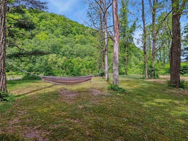 5221-5223 Rte 28, Mount Tremper, NY 12457 - view of green lawn with a wooded view