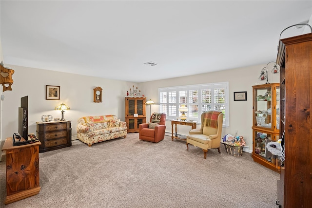 28 Trent Ct Unit B, Ridge, NY 11961 - living area with carpet