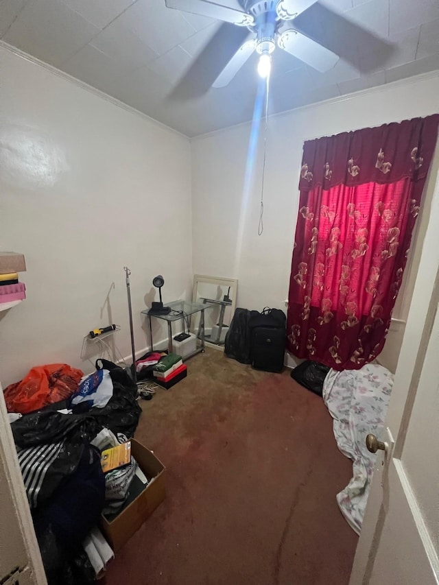 111-31 Lefferts Blvd, South Ozone Park, NY 11420 - carpeted bedroom featuring ceiling fan