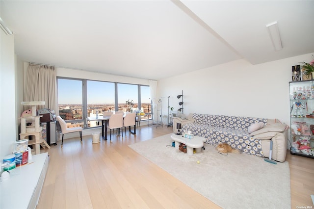 138-35 39th Ave Unit 16K, Flushing, NY 11354 - living room featuring light wood finished floors