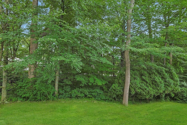 165 Carriage Ct Unit H, Yorktown Heights, NY 10598 - view of green lawn with a view of trees