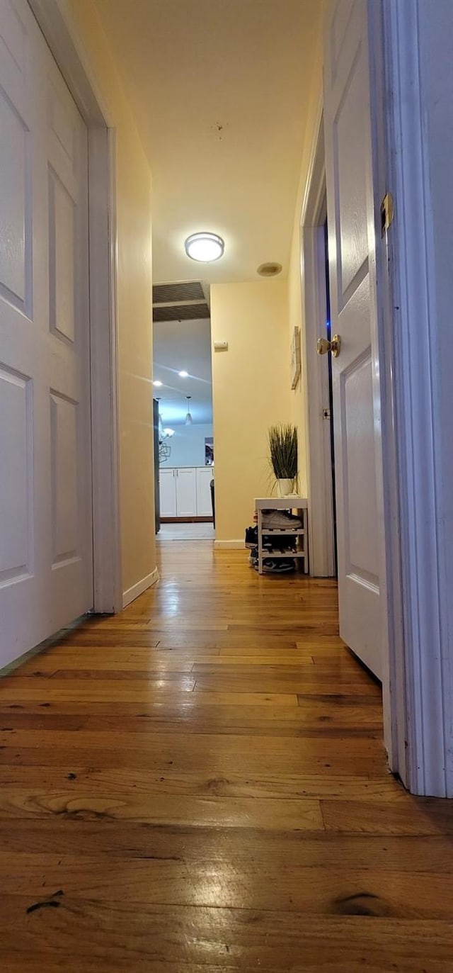 238 Adams St, Deer Park, NY 11729 - hall featuring hardwood / wood-style flooring and baseboards
