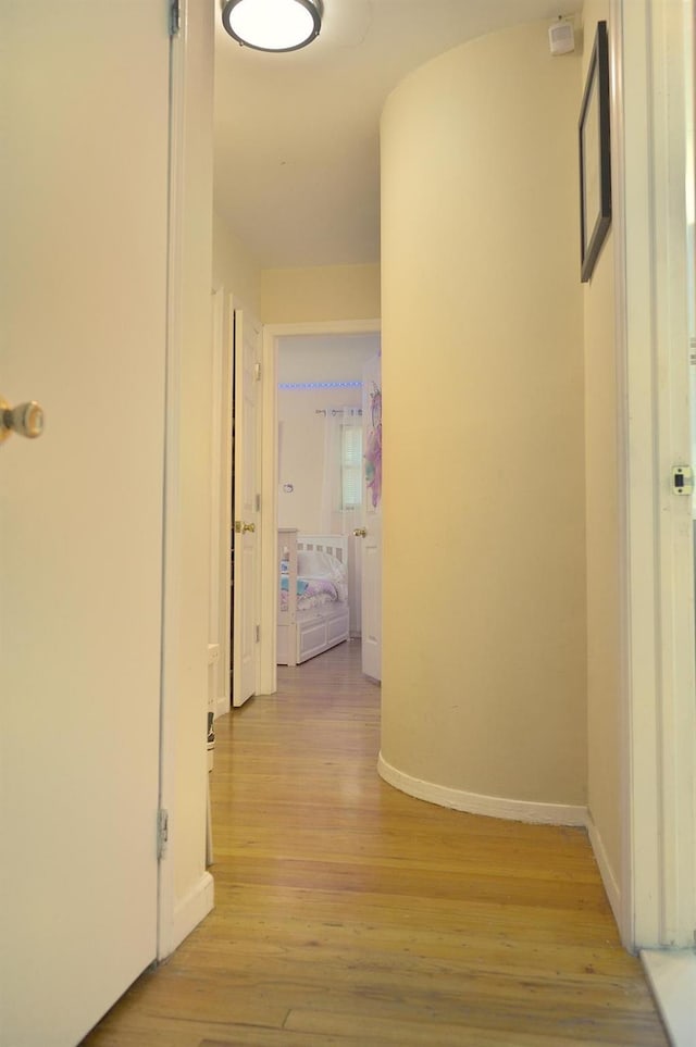 238 Adams St, Deer Park, NY 11729 - hallway with light wood finished floors and baseboards