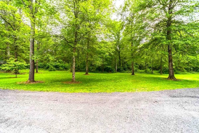 135 Browns Rd, Walden, NY 12586 - photo 5