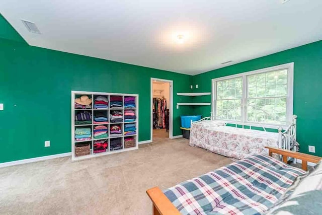135 Browns Rd, Walden, NY 12586 - photo 38