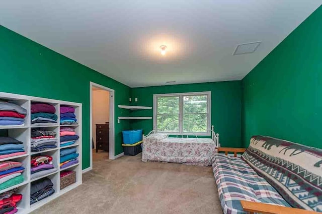 135 Browns Rd, Walden, NY 12586 - photo 41