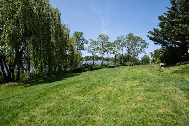 12 Barbara Ln, Glen Cove, NY 11542 - photo 39