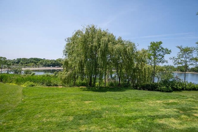 12 Barbara Ln, Glen Cove, NY 11542 - photo 40