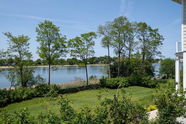 12 Barbara Ln, Glen Cove, NY 11542 - photo 41