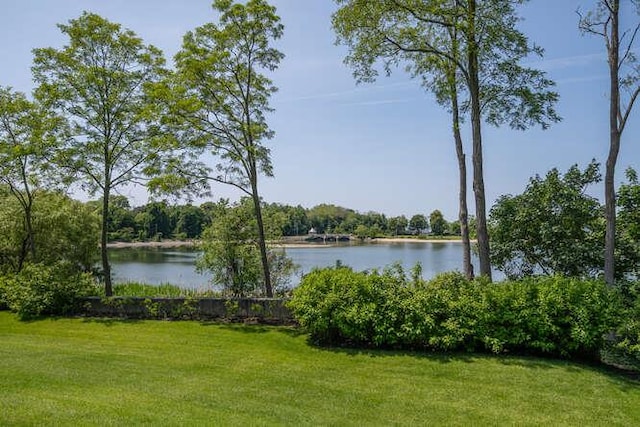 12 Barbara Ln, Glen Cove, NY 11542 - photo 42