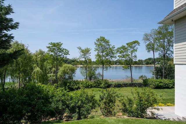 12 Barbara Ln, Glen Cove, NY 11542 - photo 43