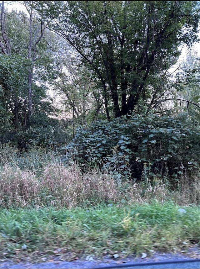 Greenville Turnpike, Port Jervis, NY 12771 - photo 1