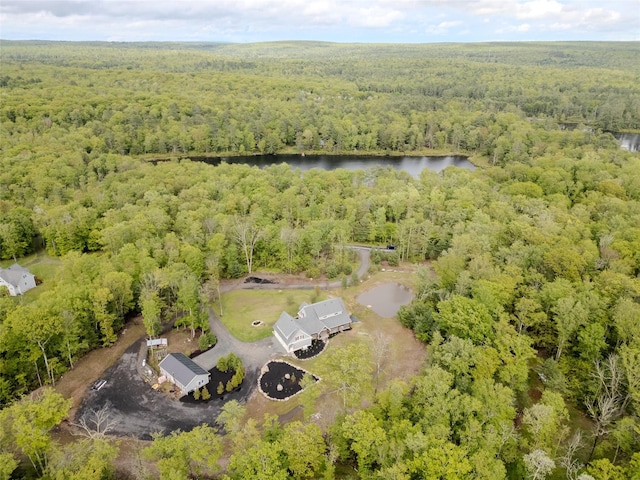 123 Wildwood Way, Forestburgh, NY 12777 - drone / aerial view of a forest and a nearby body of water