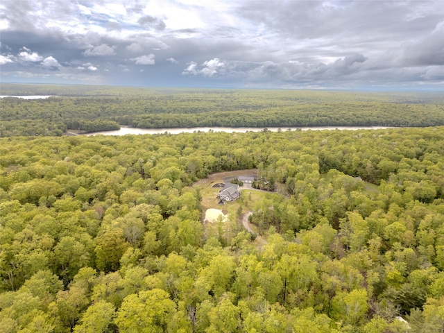 123 Wildwood Way, Forestburgh, NY 12777 - aerial view of a heavily wooded area and a large body of water