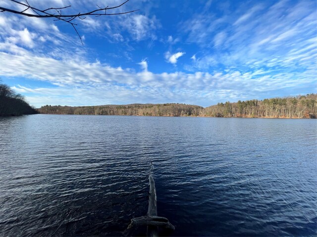 210A Seven Bridges Rd, Mount Kisco, NY 10549 - dock featuring a water view