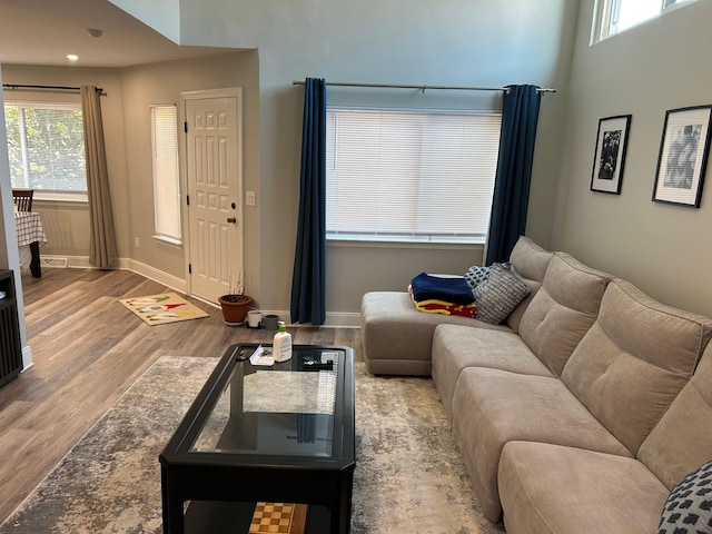 38 Tulip Ct, Nanuet, NY 10954 - living room with wood finished floors, baseboards, and recessed lighting