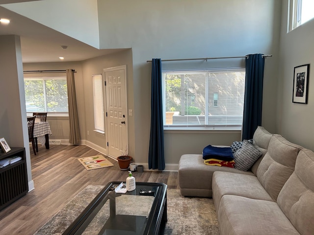 38 Tulip Ct, Nanuet, NY 10954 - living area featuring a high ceiling, wood finished floors, baseboards, and recessed lighting