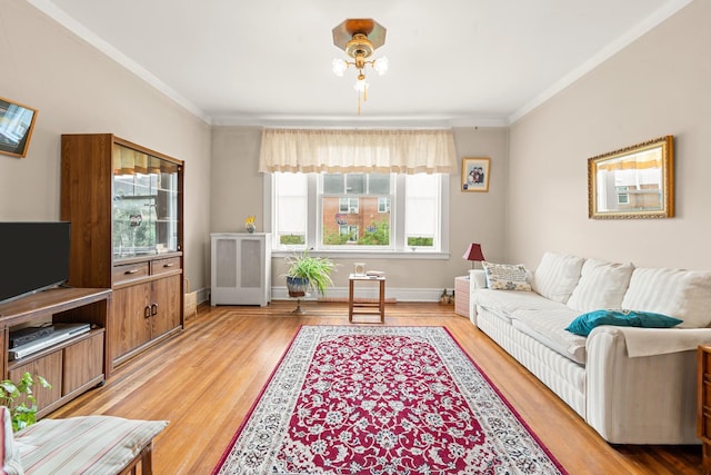 33-21 82nd St Unit 51, Jackson Heights, NY 11372 - living area with radiator, healthy amount of natural light, crown molding, and light wood-style flooring