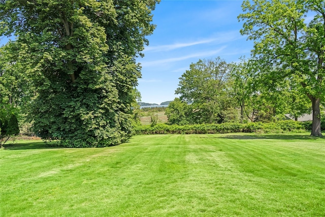 204 Centre Island Rd, Oyster Bay, NY 11771 - photo 49