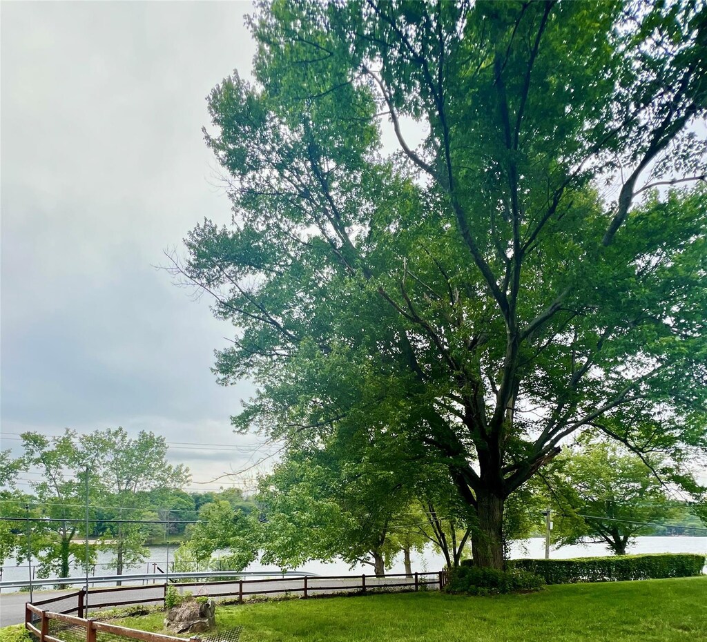 6 Pelham Dr, Carmel, NY 10512 - view of yard