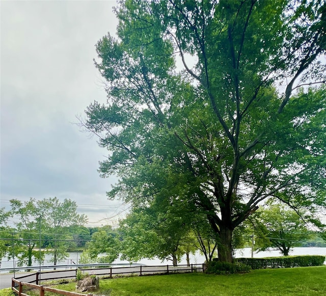 6 Pelham Dr, Carmel, NY 10512 - view of yard